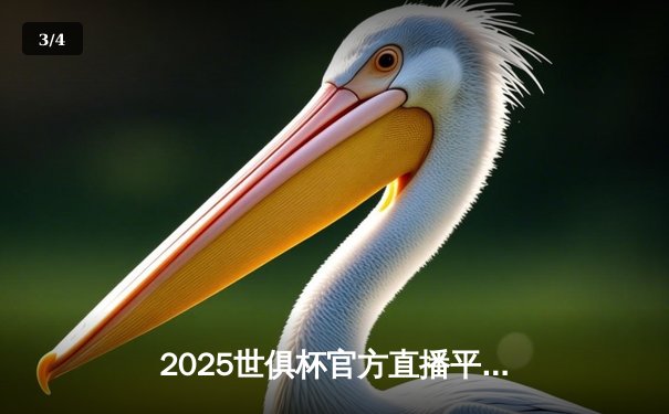 2025世俱杯官方直播平台全解析，曼城首秀在即引发全球关注 - 3