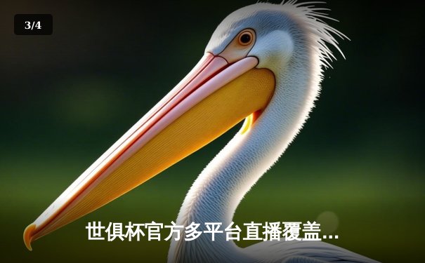 世俱杯官方多平台直播覆盖全球，曼城首战告捷剑指王座 - 3