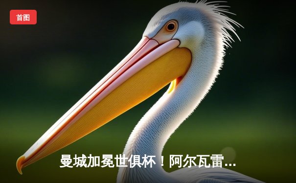 曼城加冕世俱杯！阿尔瓦雷斯双响定江山，蓝月亮首度问鼎世界之巅